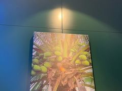 -烹然四季椰子鸡火锅(姚家园万象汇店)