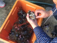 -乡乐园蟹庄·阳澄湖农家乐