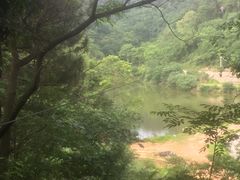 -芦仙山景区-飞越丛林探险乐园