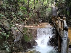 -南丹山森林王国