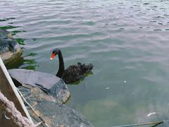-上海怡沁园度假酒店
