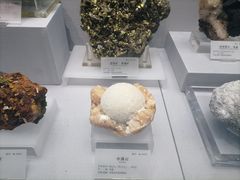 -湖南省地质博物馆