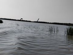 -卧龙湖