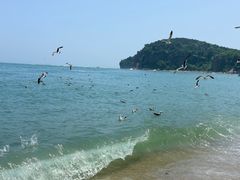 -棒棰岛宾馆景区