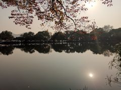 -西湖游船
