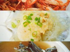 -大湾区中央湿地公园-十九涌
