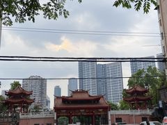 -宝岛公园
