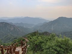-大岭沟猕猴桃谷风景区