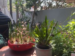 -缘生态云南菜·野生菌庭院餐厅(华侨城店)