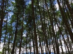 -硗碛藏寨·神木垒景区