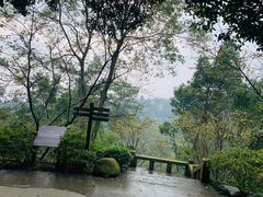 -南山植物园
