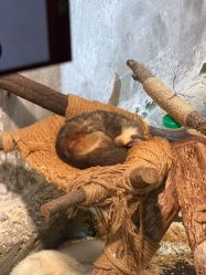 -Zoolung Zoolung动物主题公园(海信广场店)