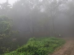 -凤栖山