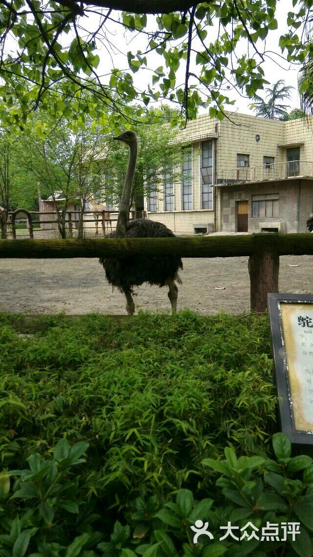 成都動物園圖片 - 第64張