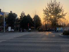 -西海子公园