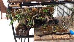 -周忆刺青原创设计定制