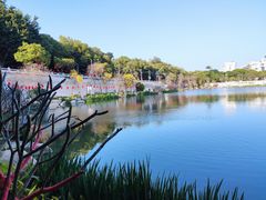 -乌山风景区