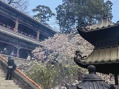 -潭柘寺景区