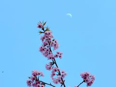 -静安雕塑公园