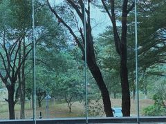 -东莞松山湖凯悦酒店