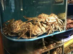 水产区-蟹田居·活蟹料理(东城店)