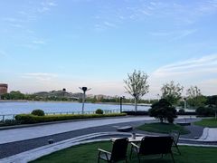 -东方美谷JW万豪酒店·The lounge大堂吧