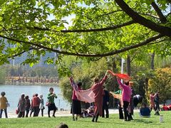 -大宁郁金香公园-停车场