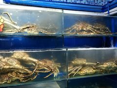 阿拉斯加长脚蟹-蚝专家(北滘店)