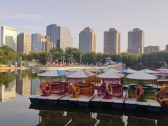 -团结湖公园