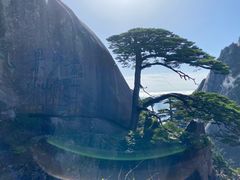 -黄山风景区