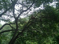 -黔灵山公园-南门售票处