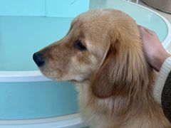 -怪兽屋·羊驼·猫咖·狗咖(俊华广场店)