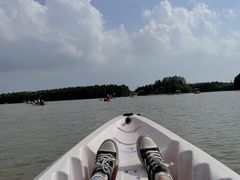 -上海海湾国家森林公园