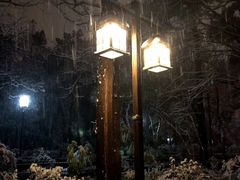 -浙江大学(玉泉校区)