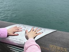 -星光大道
