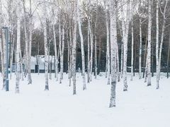 -长春市南湖公园