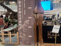 -上海七宝领展广场