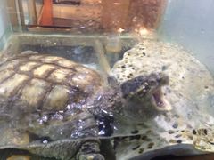 iphone_upload_pic-上海大自然野生昆虫馆