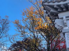 -终南山南五台景区