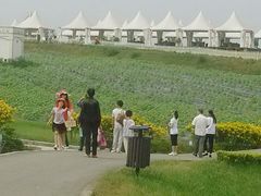 -紫颐香薰山谷景区