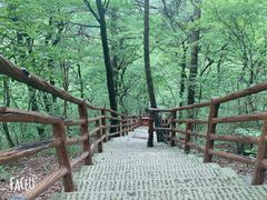 -安徽天堂寨风景区