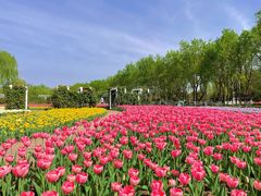 -石家庄市植物园
