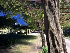 -嘉定紫藤园