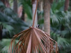 -华南国家植物园-售票处