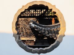 -何园