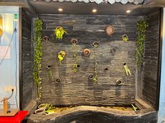 -一只烧鸡公(解放碑店)