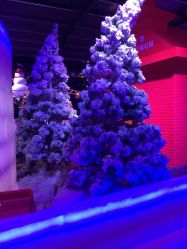 -圣名游乐城冰雪大世界