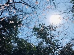 -西湖风景区十里琅珰-五云山