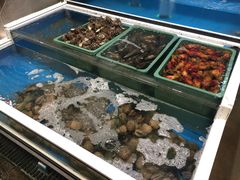 -西归浦每天偶来市场