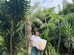 -三圣花乡旅游区